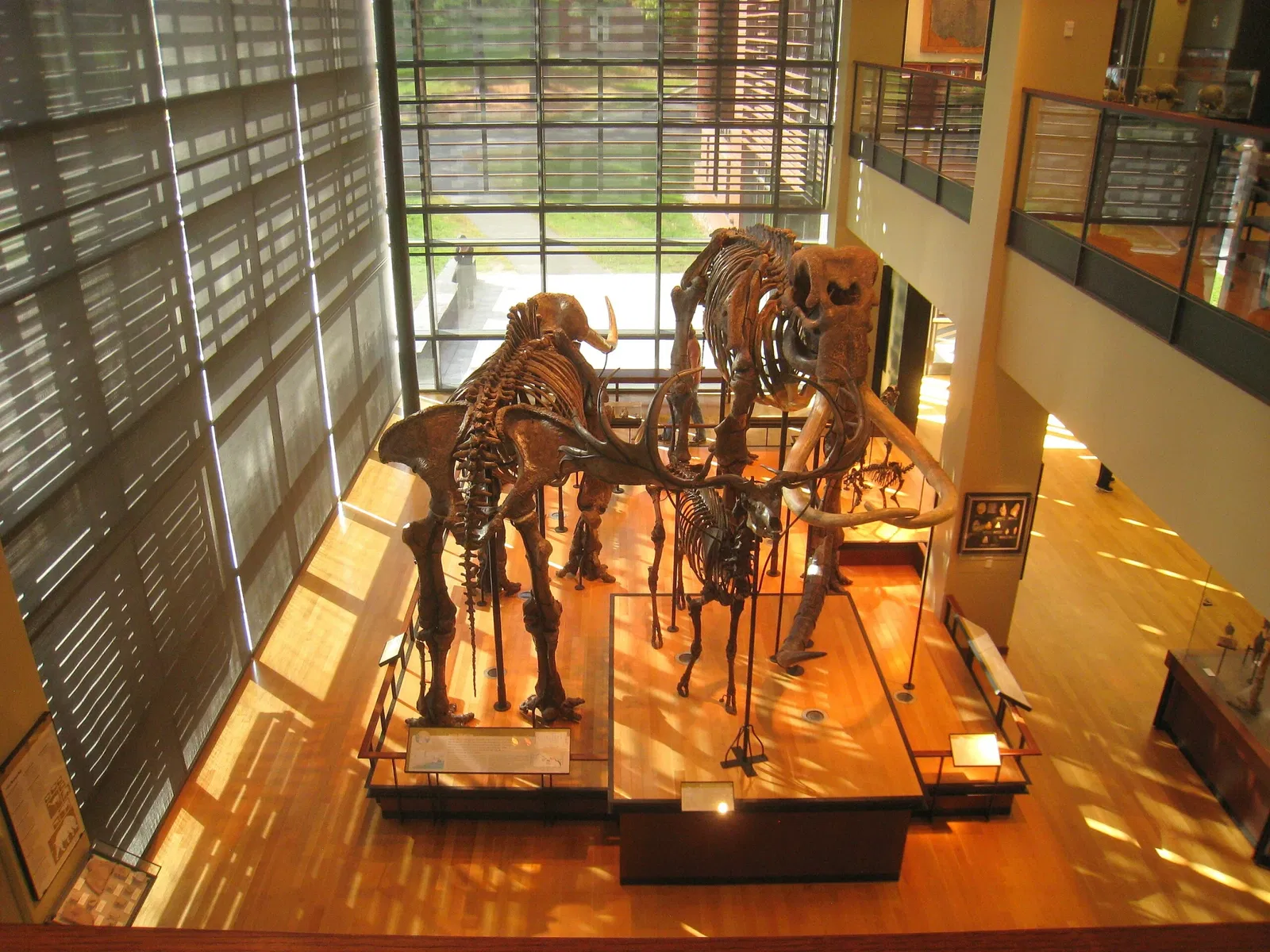 Beneski Museum of Natural History
