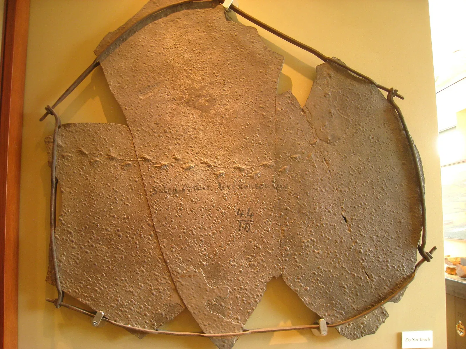 Beneski Museum of Natural History