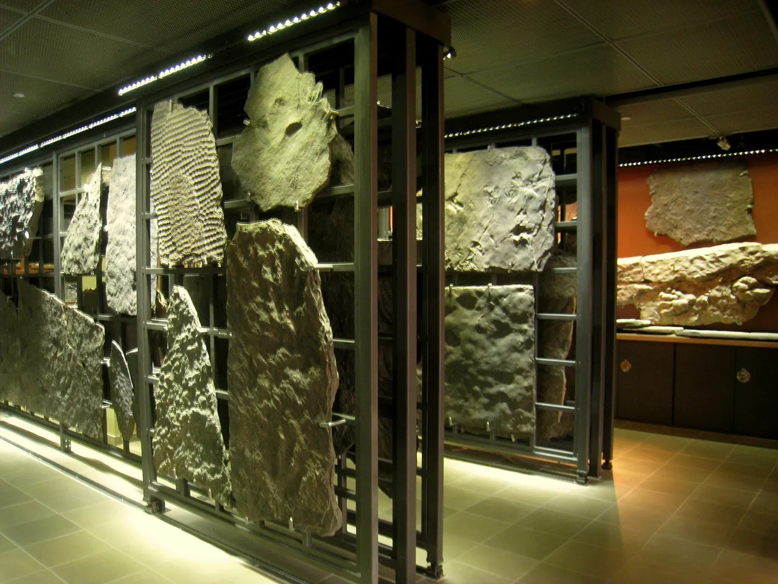 Beneski Museum of Natural History