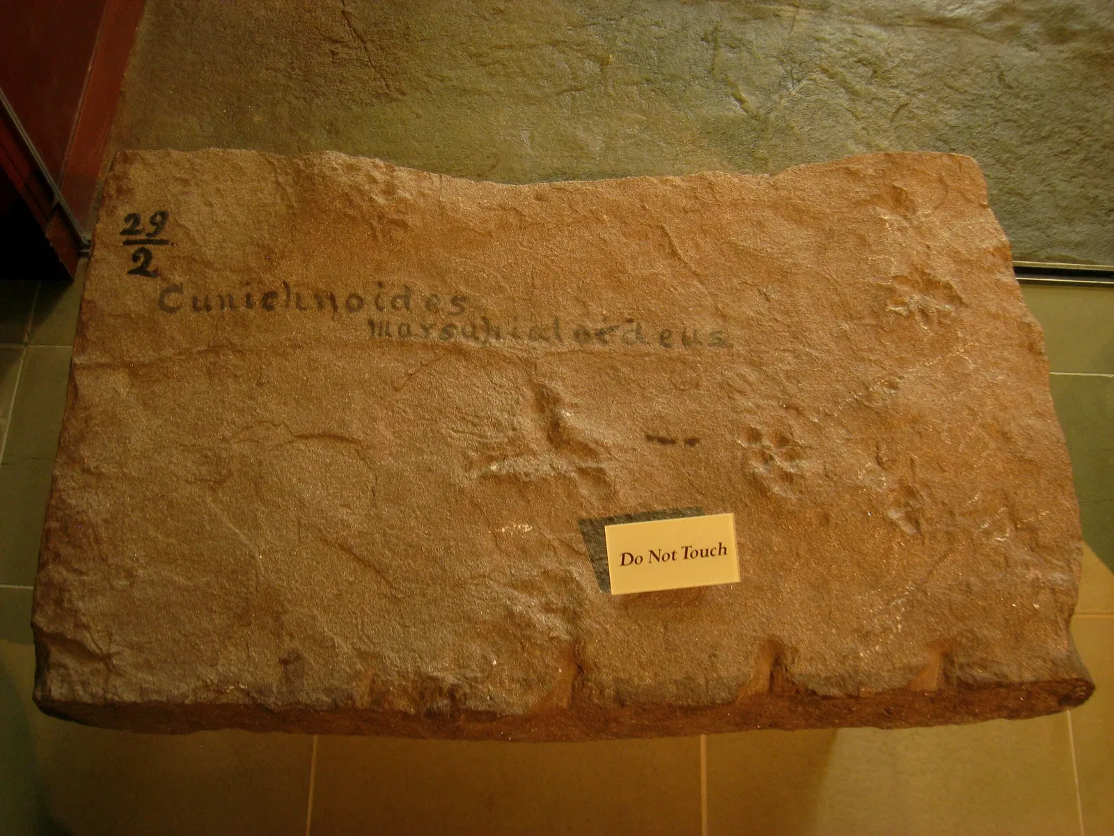 Beneski Museum of Natural History