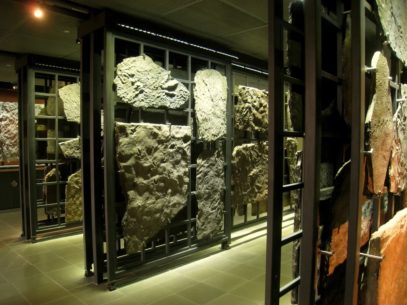 Beneski Museum of Natural History