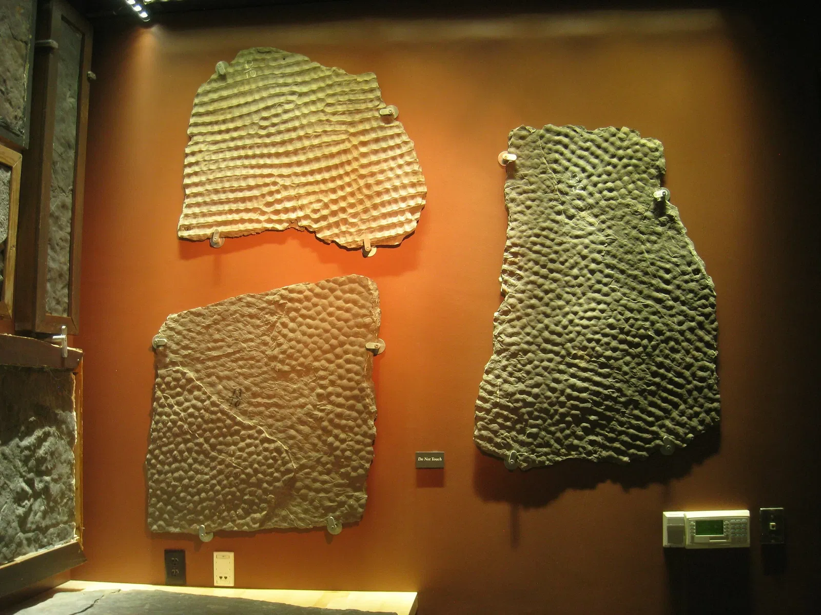 Beneski Museum of Natural History