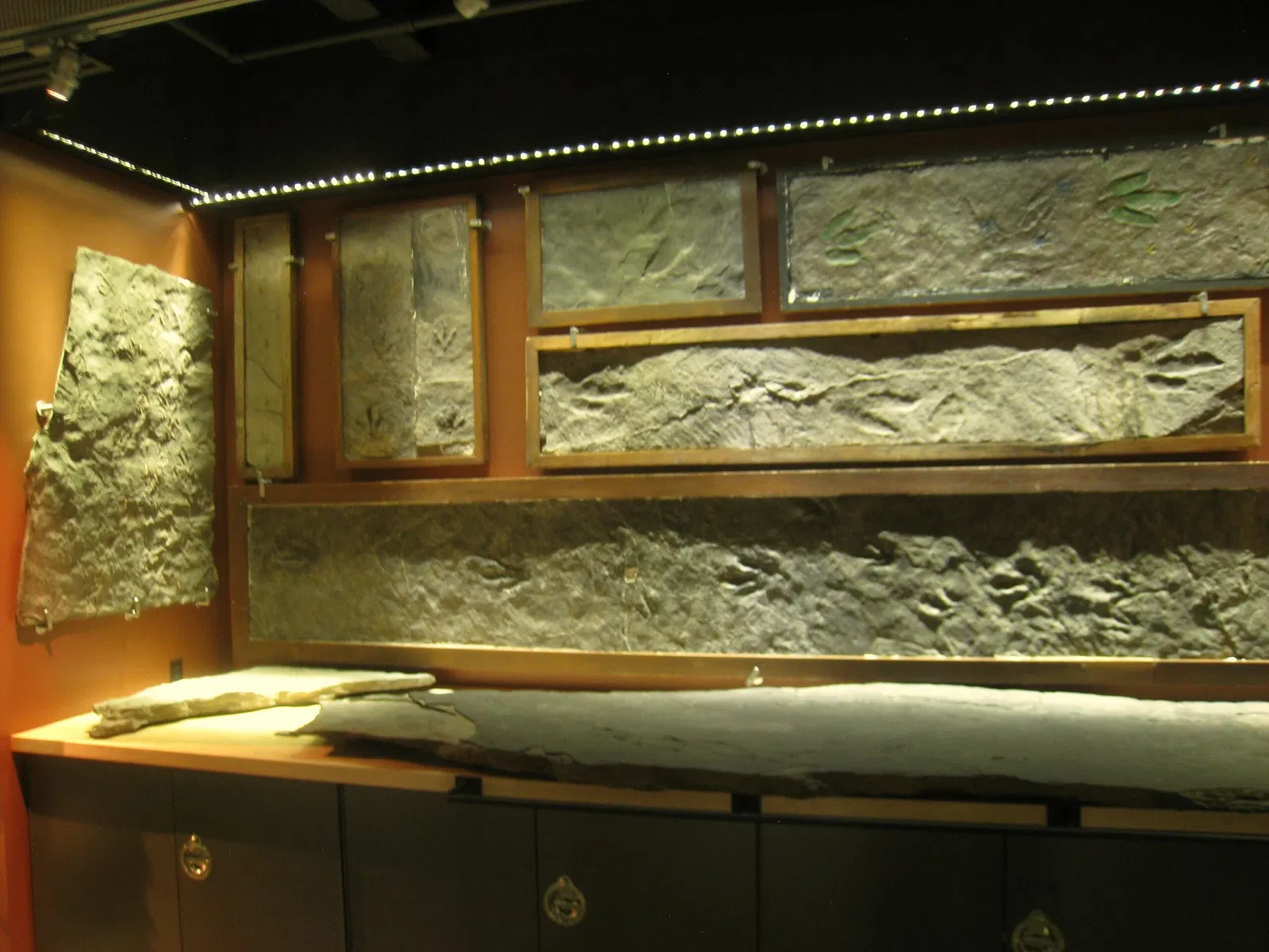 Beneski Museum of Natural History