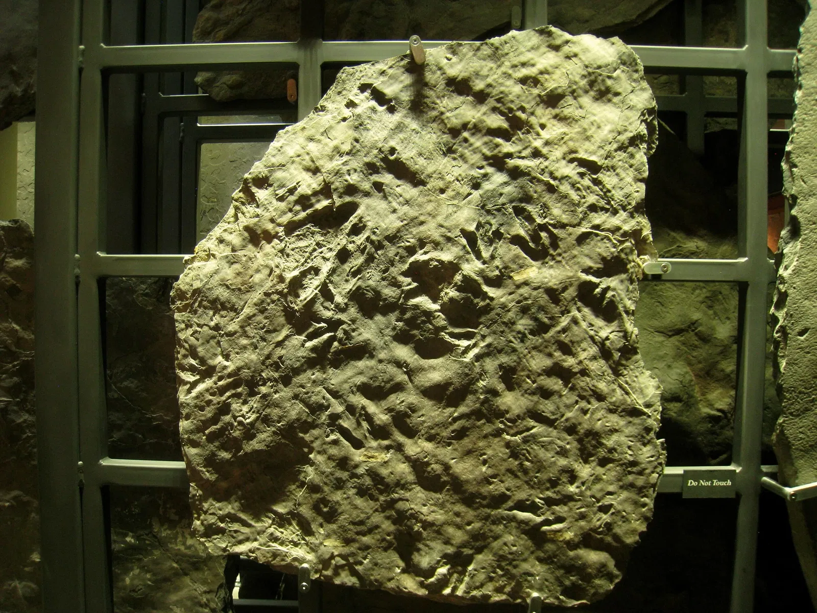 Beneski Museum of Natural History