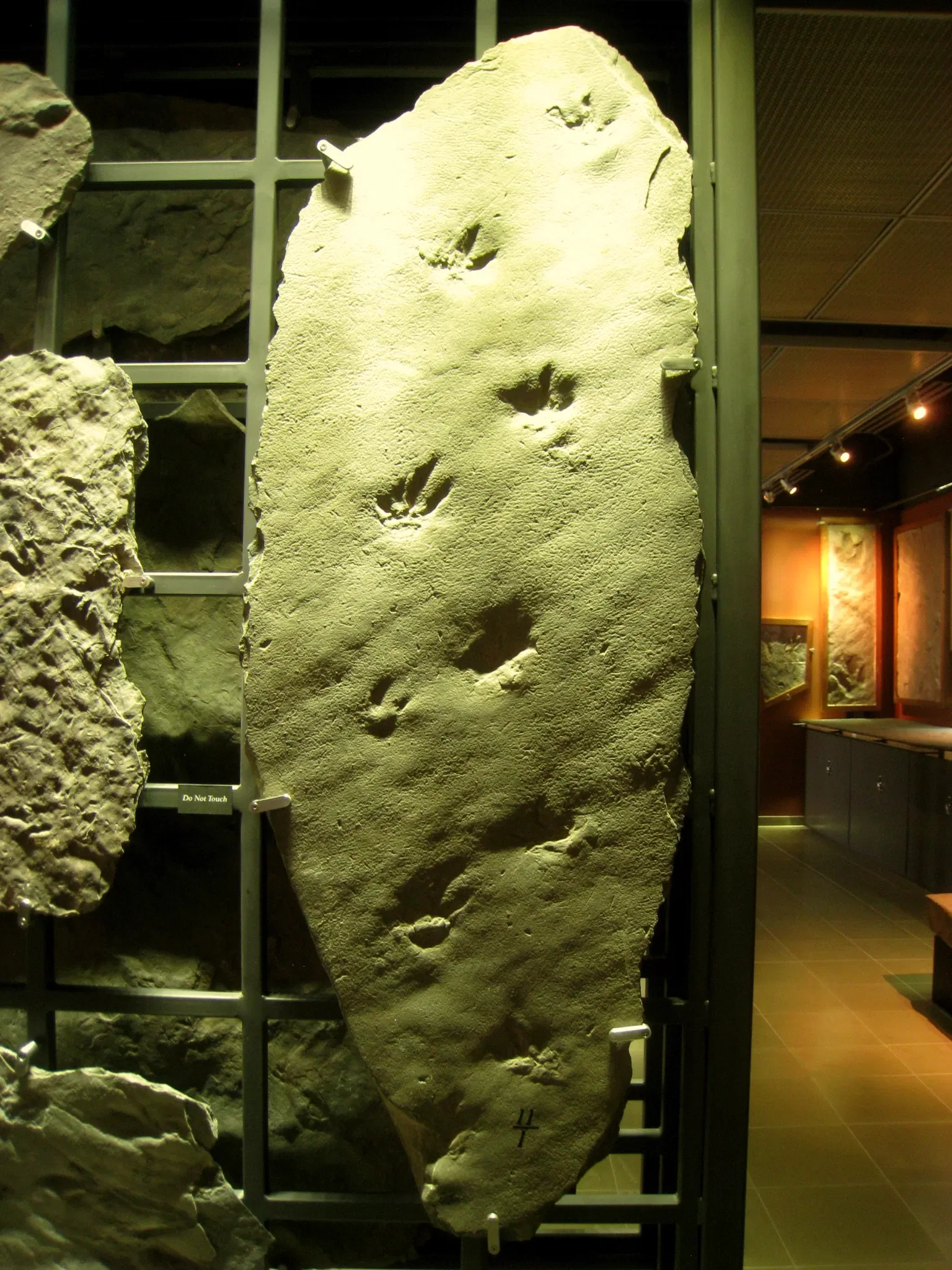 Beneski Museum of Natural History