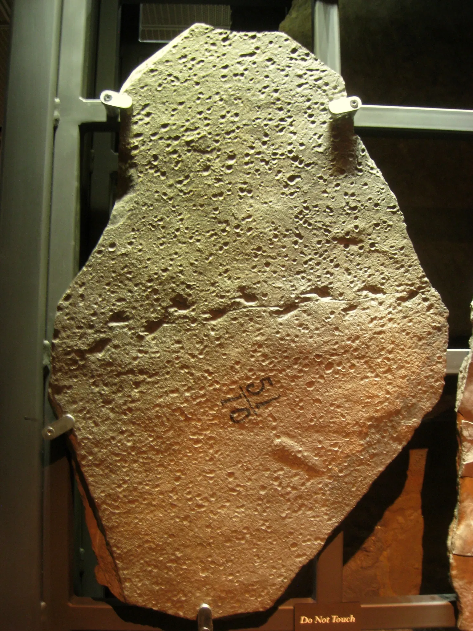 Beneski Museum of Natural History