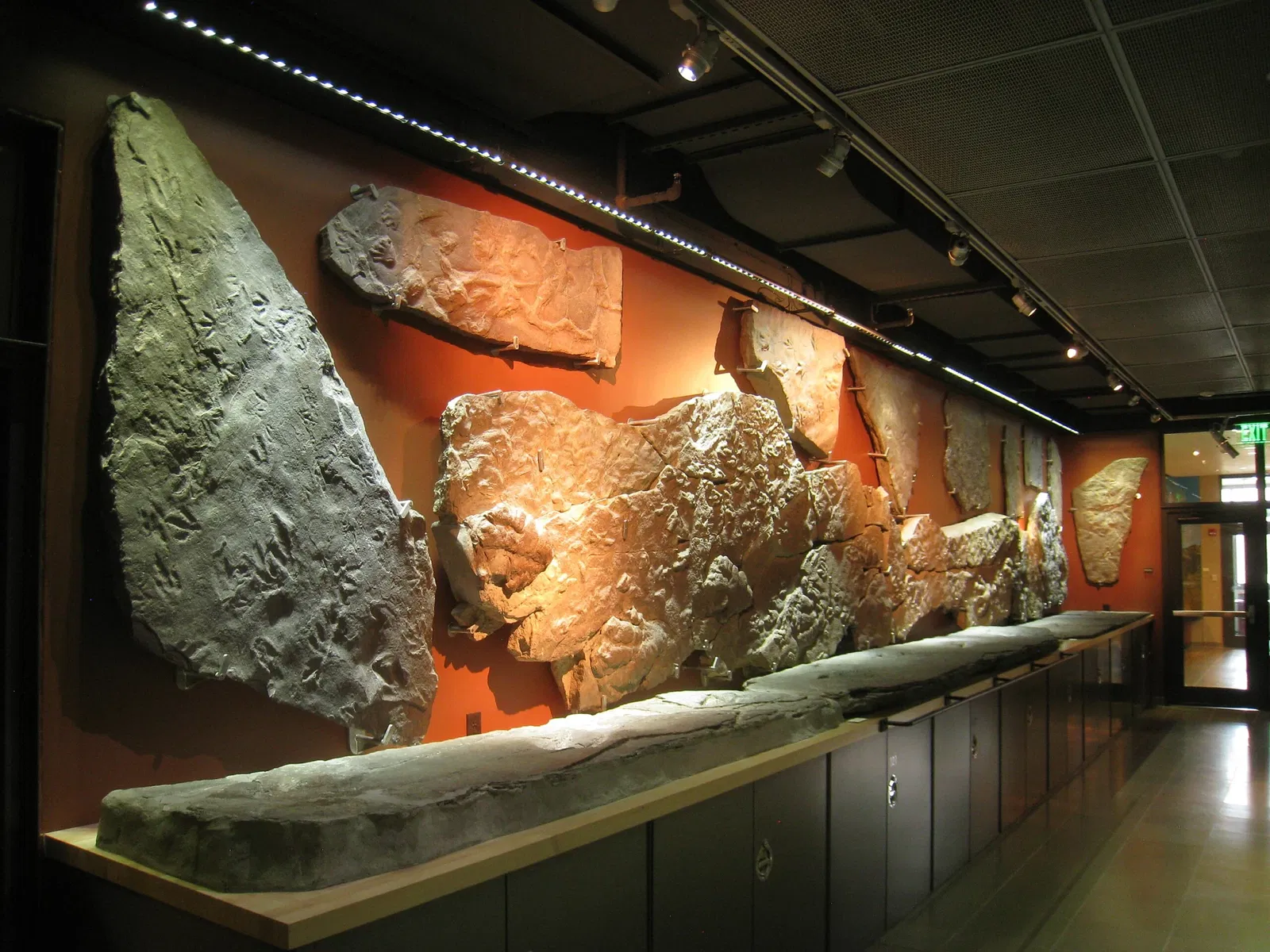 Beneski Museum of Natural History
