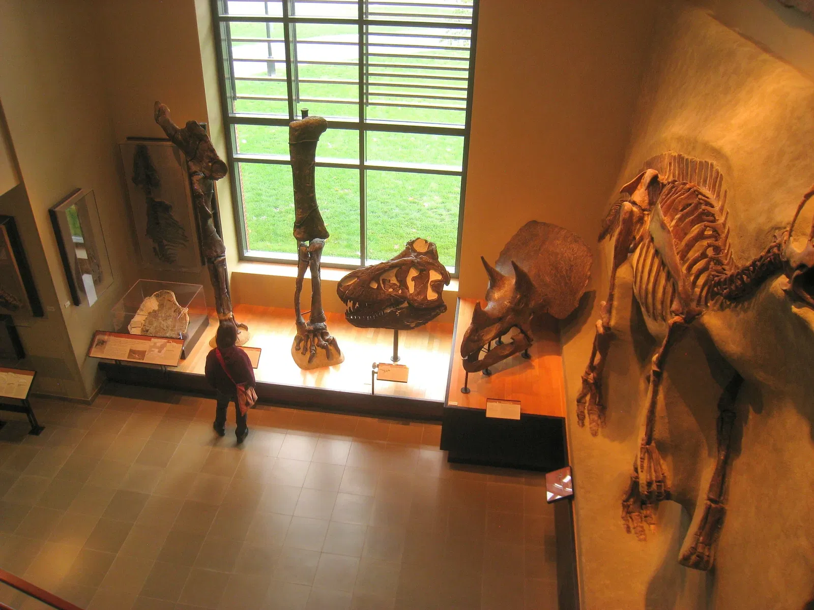 Beneski Museum of Natural History