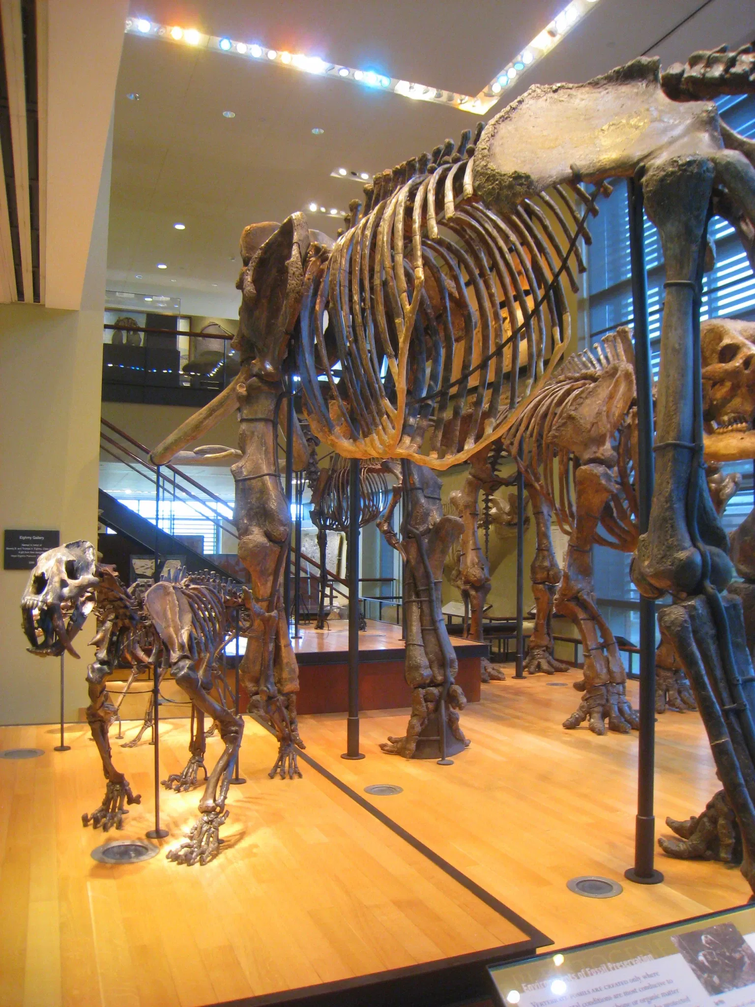 Beneski Museum of Natural History