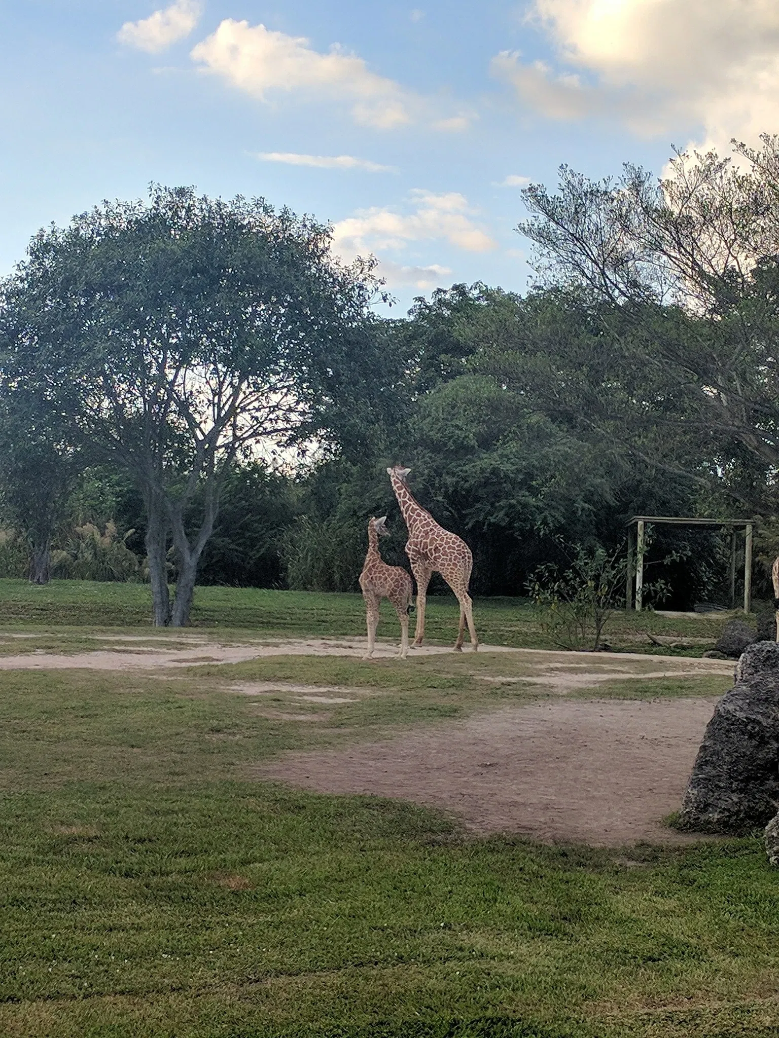 Zoo Miami