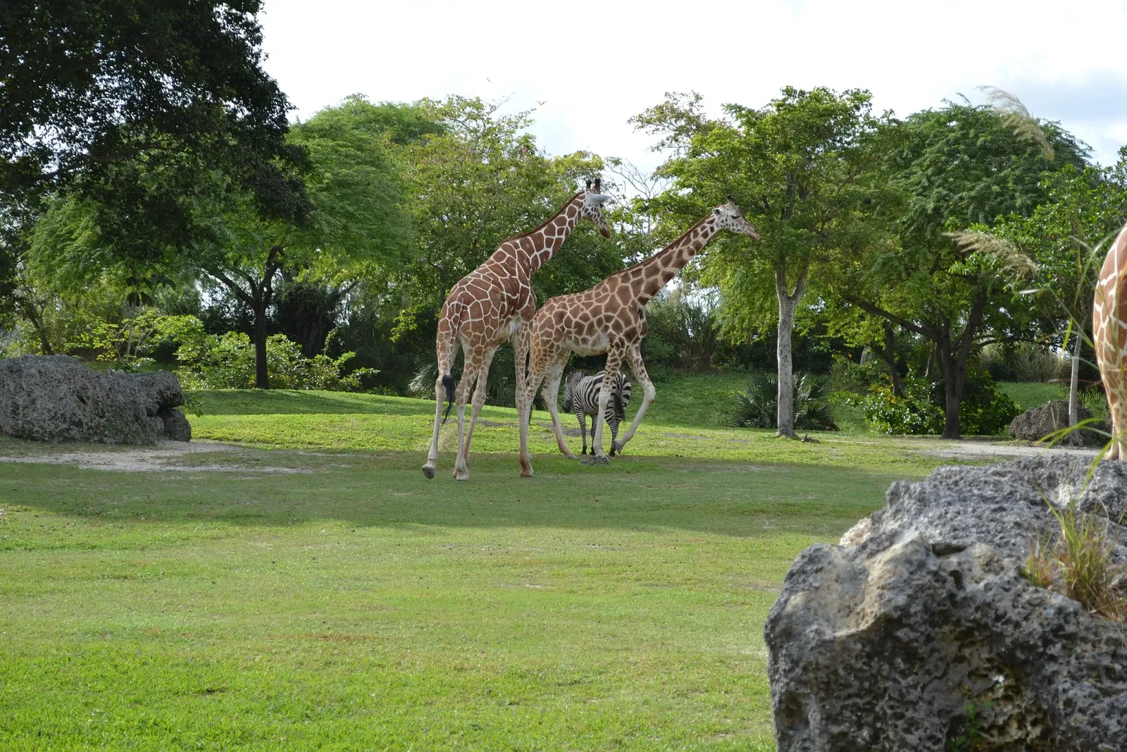 Zoo Miami
