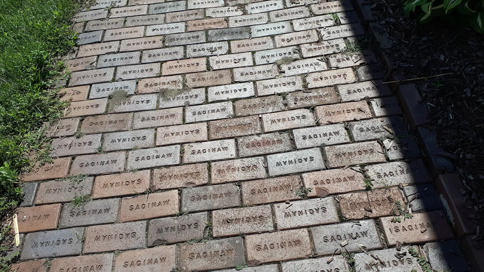 Michigan Transit Museum