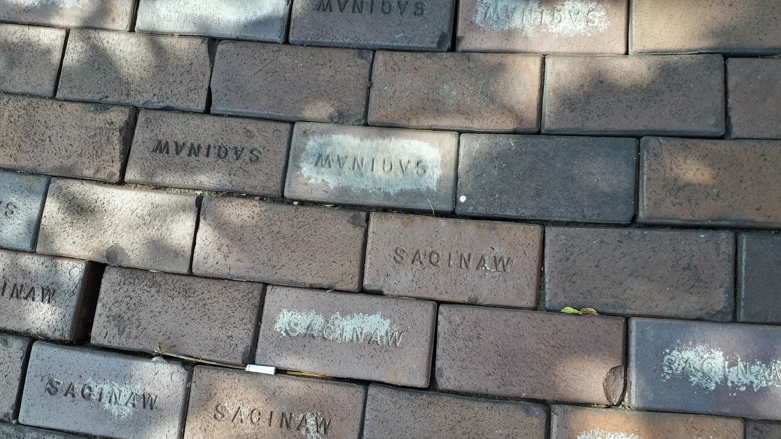 Michigan Transit Museum