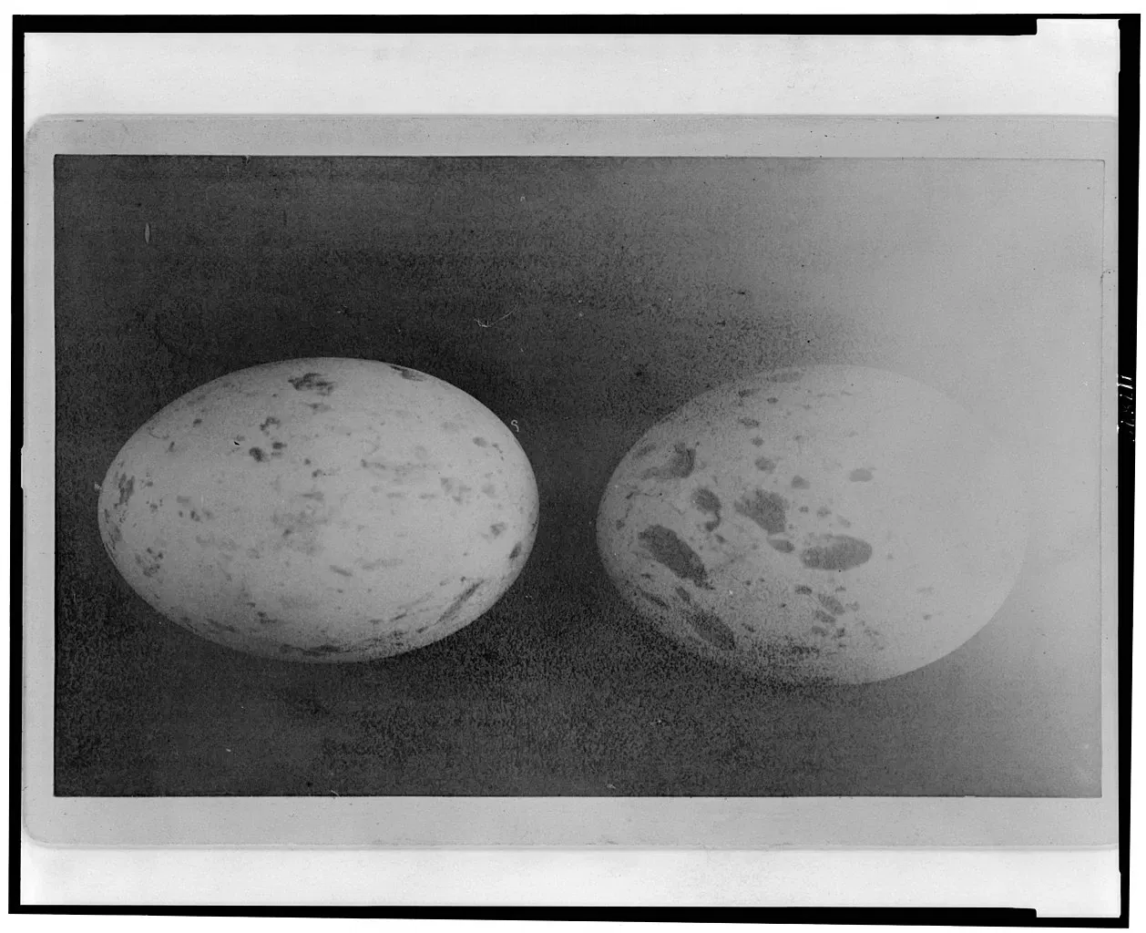 Fort Verde State Historic Park