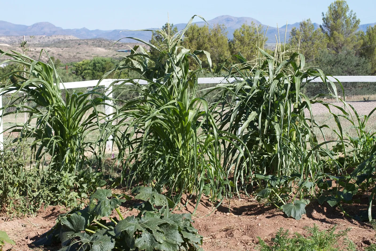 Fort Verde State Historic Park