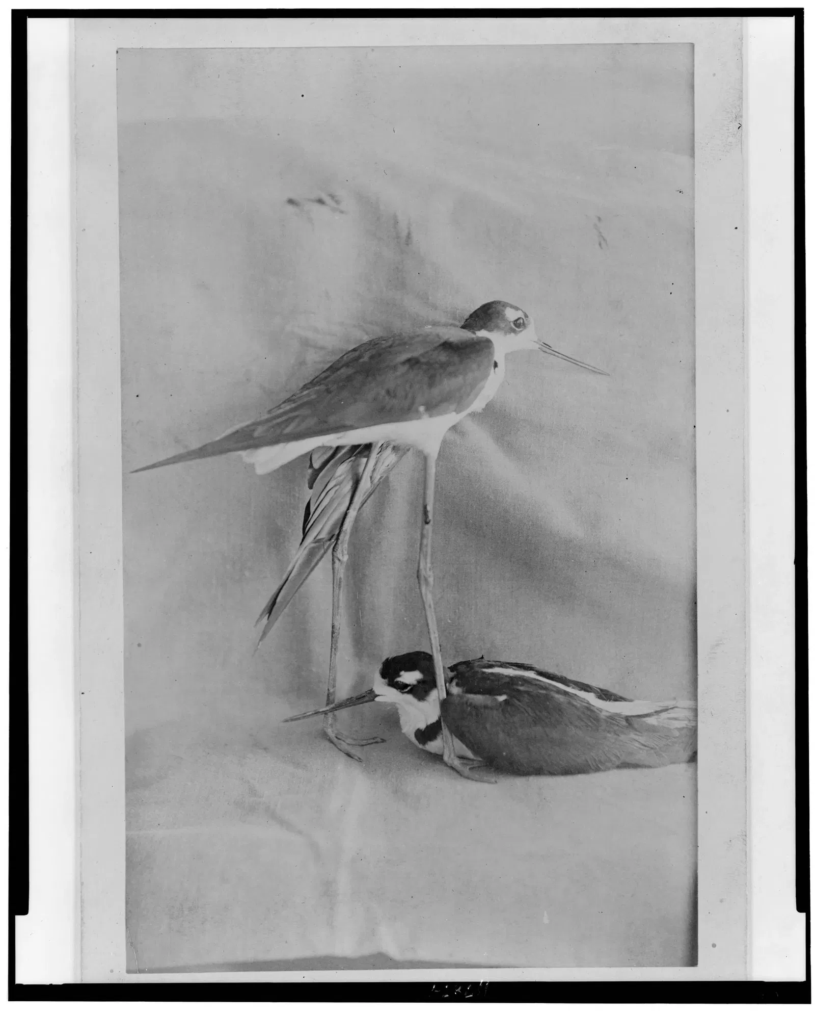 Fort Verde State Historic Park