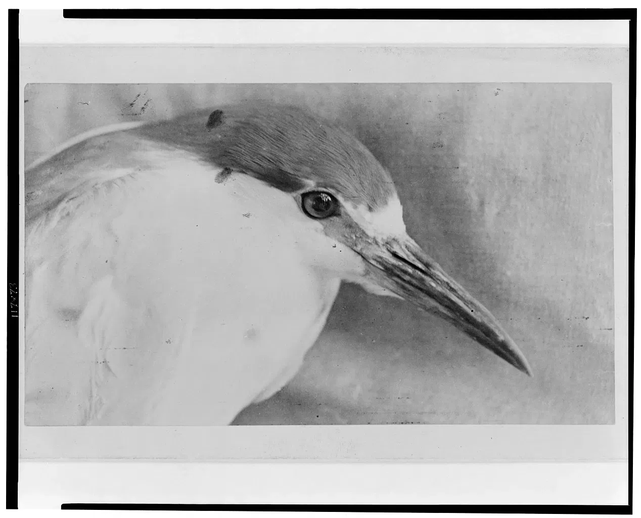 Fort Verde State Historic Park