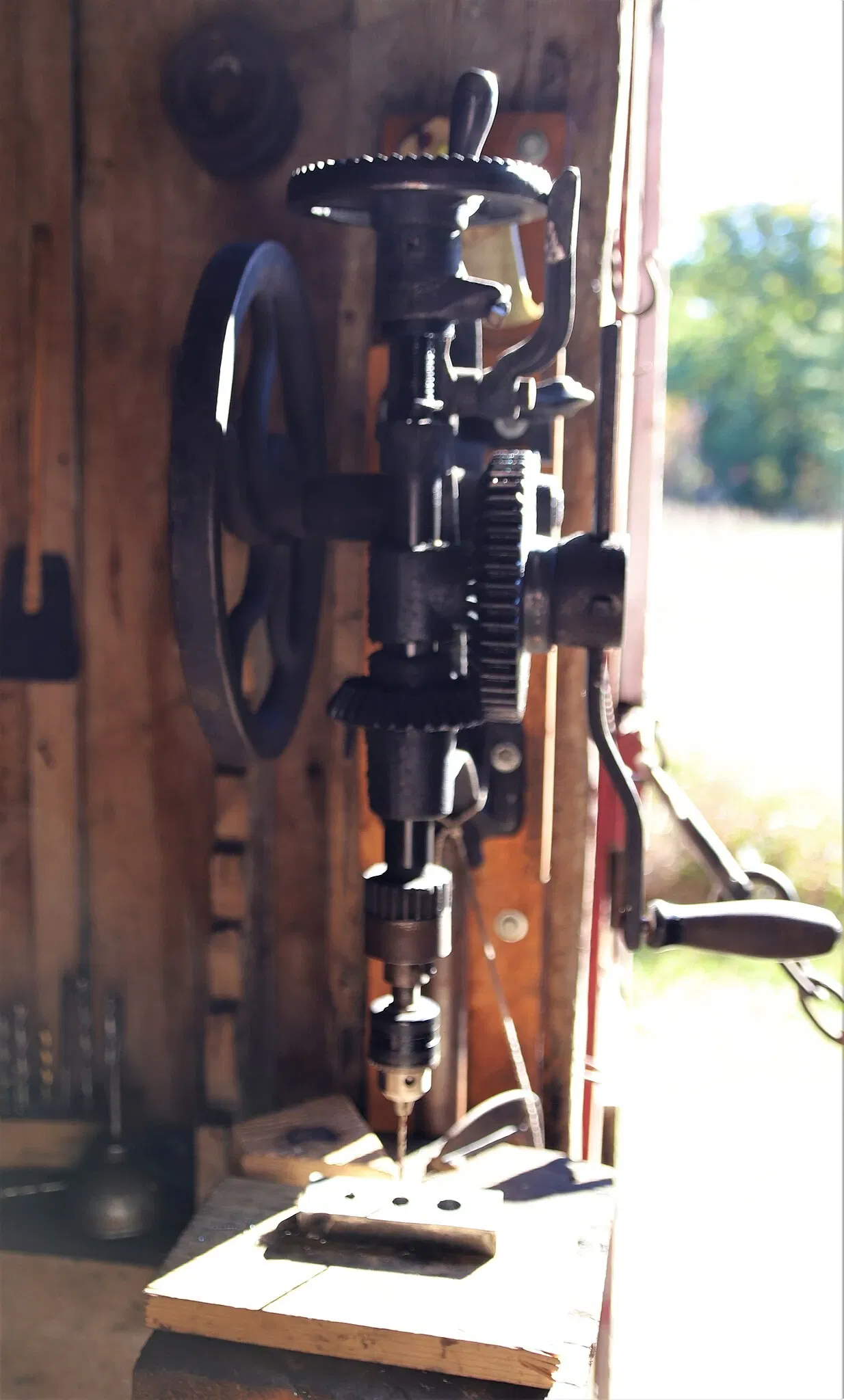 Cannery Boathouse Museum