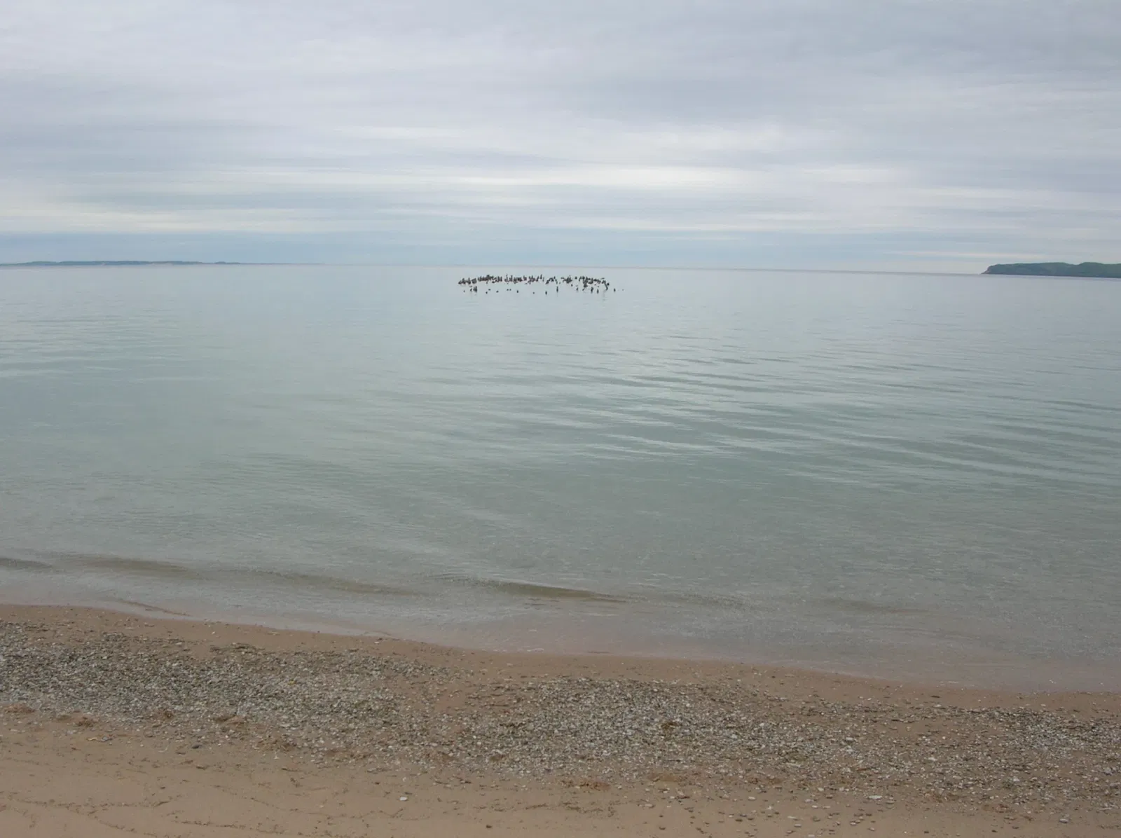 Cannery Boathouse Museum