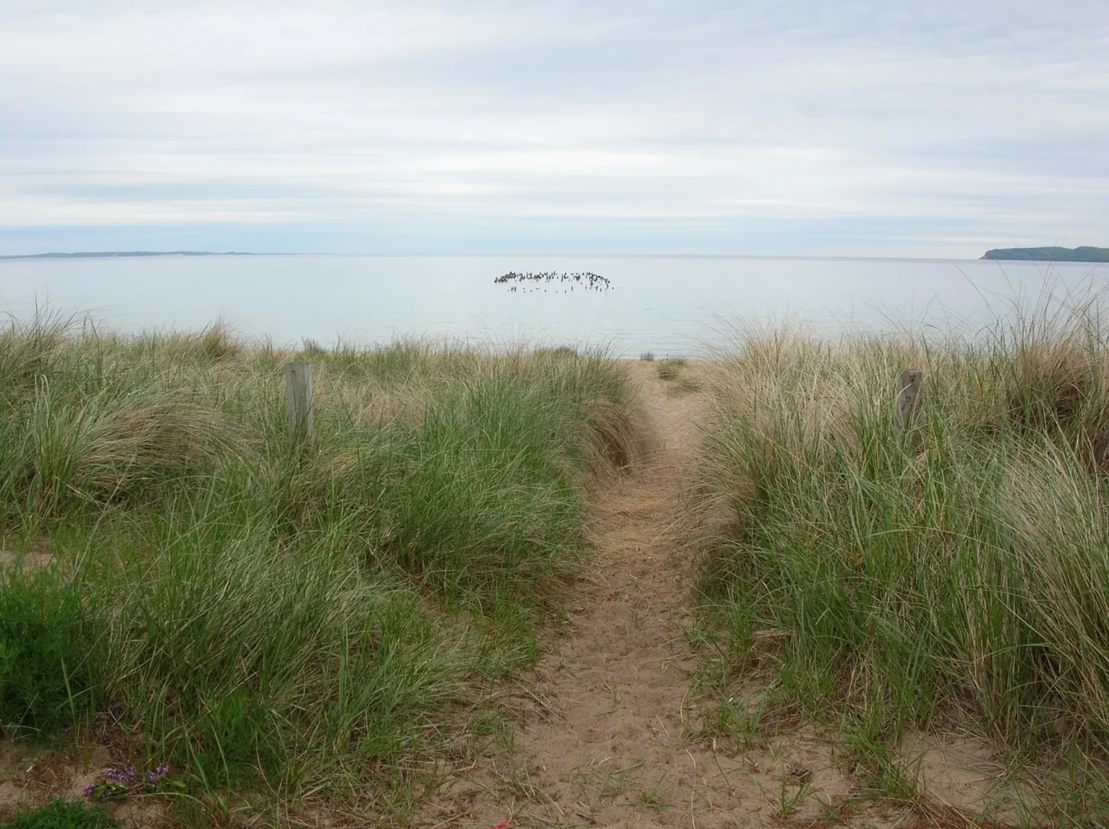 Cannery Boathouse Museum