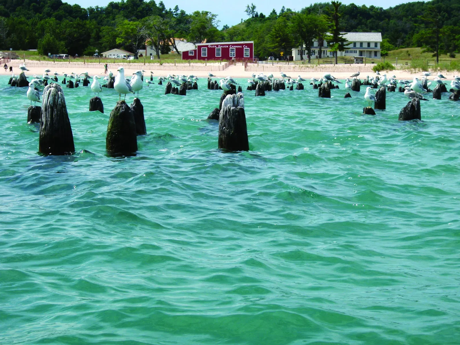 Cannery Boathouse Museum