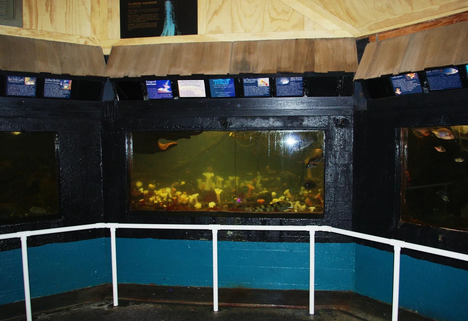 Seaside Aquarium