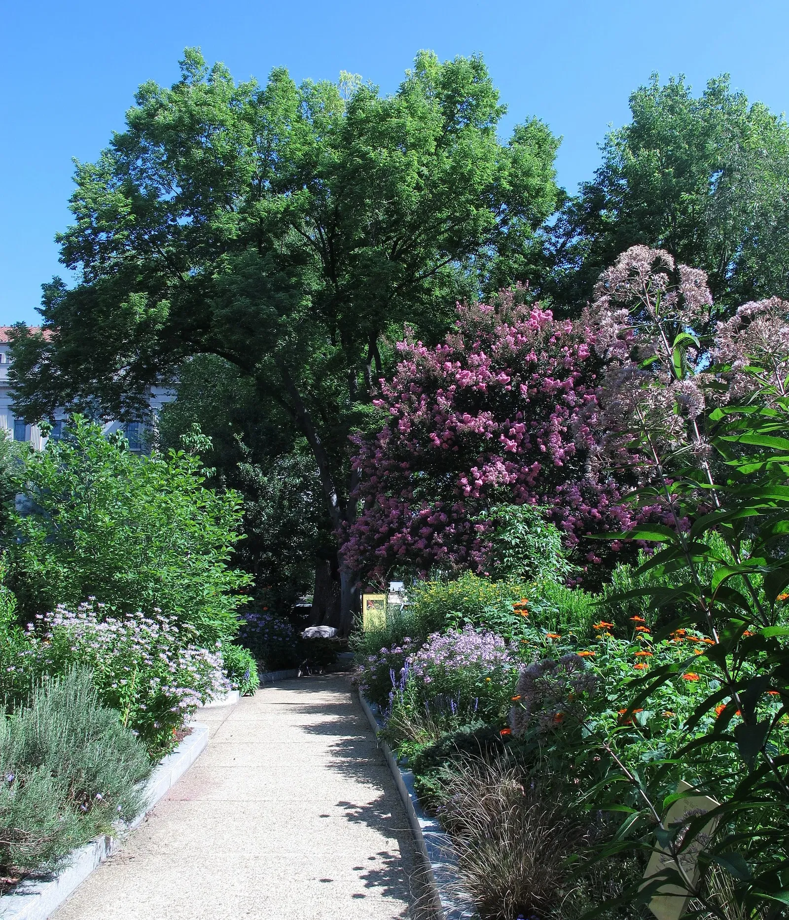 Smithsonian Gardens