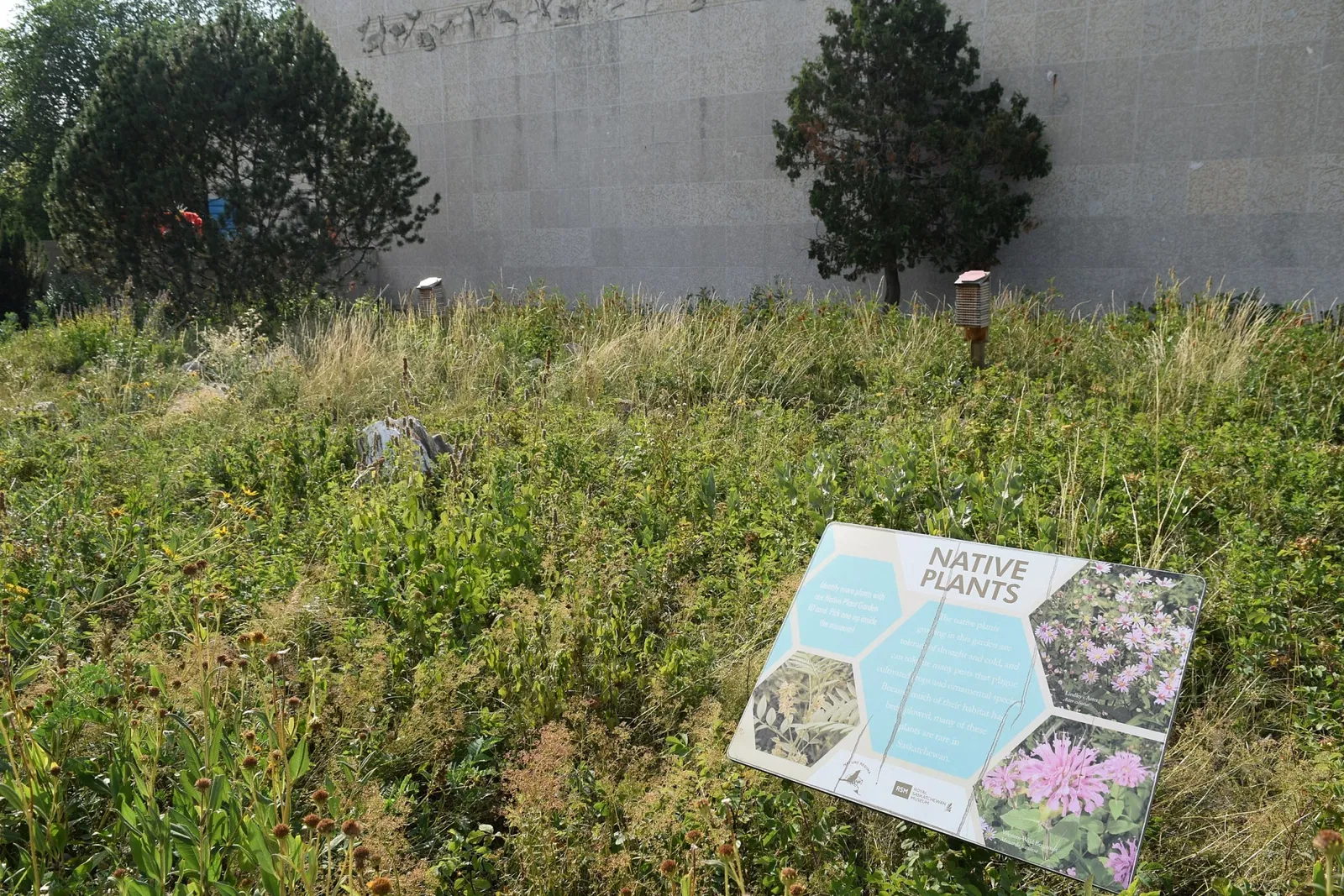 Royal Saskatchewan Museum