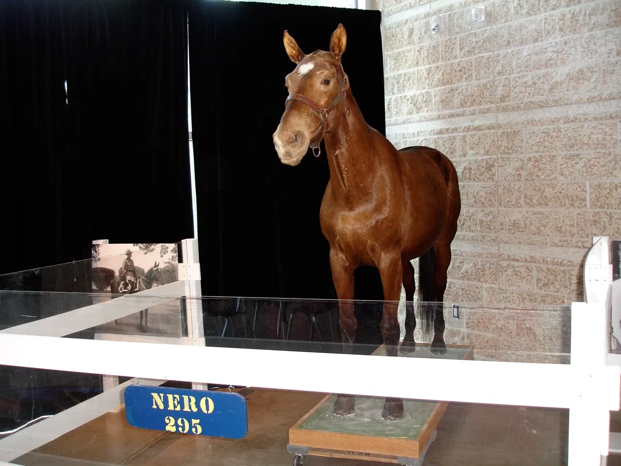 Royal Saskatchewan Museum