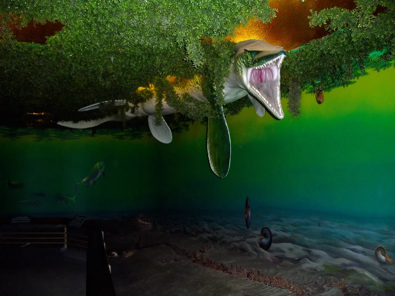 Royal Saskatchewan Museum