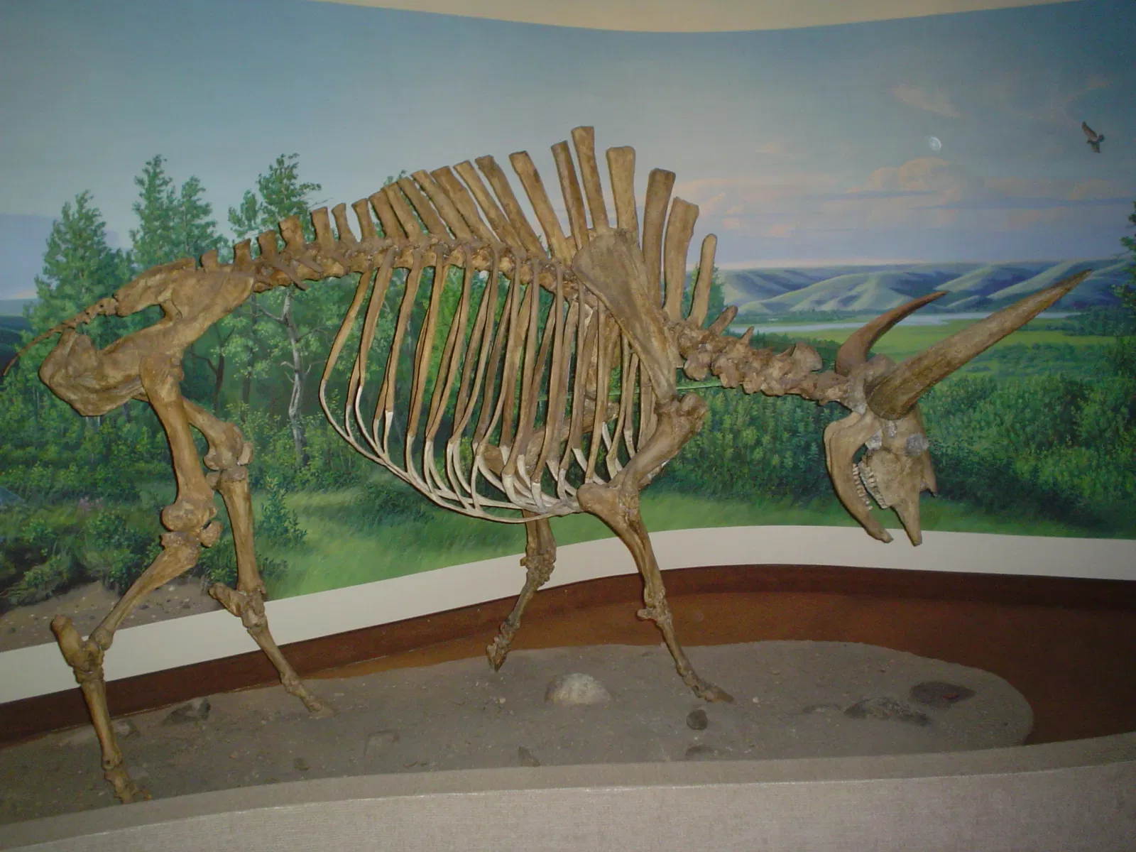 Museo Royal Saskatchewan