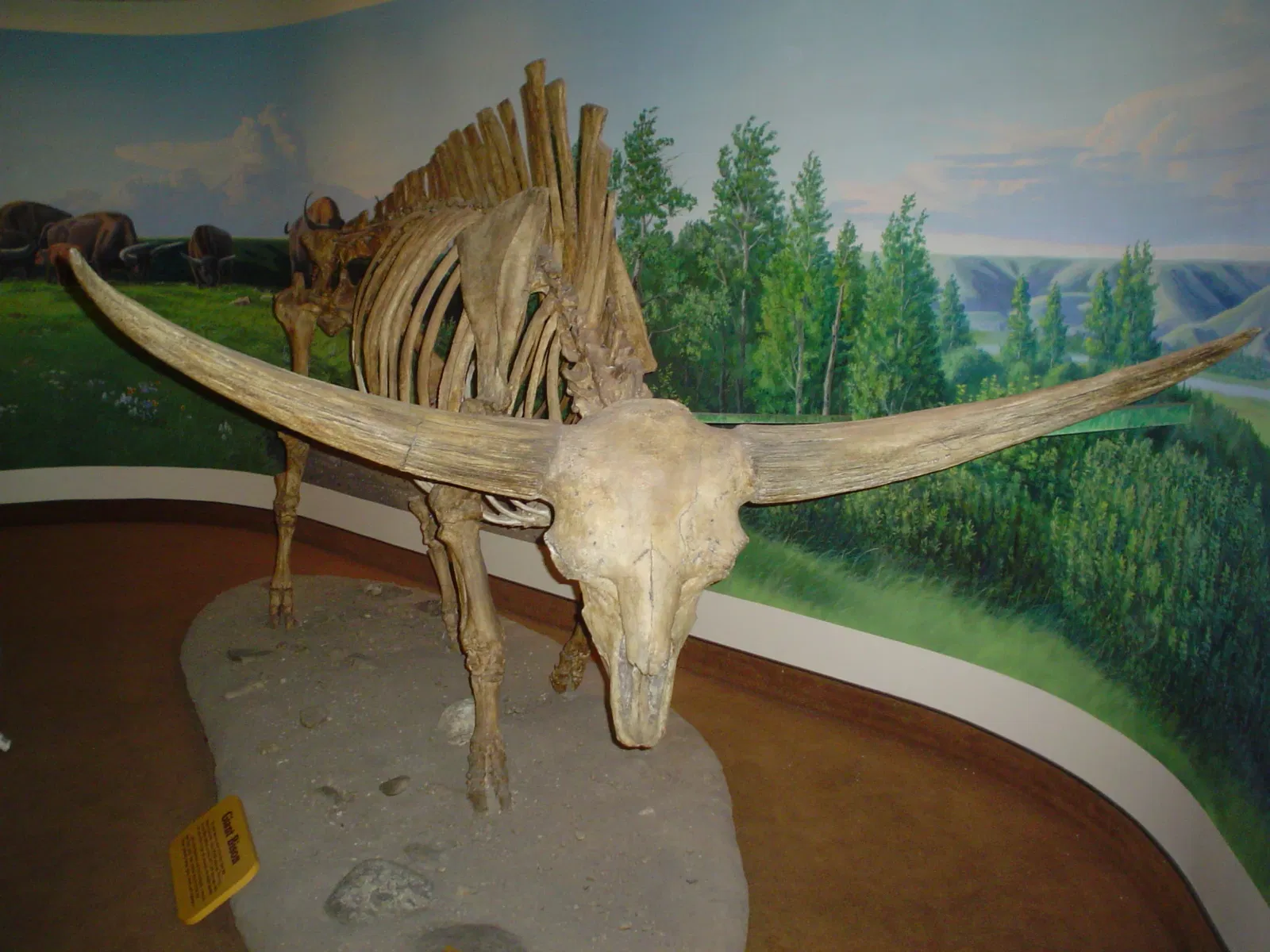 Musée royal de la Saskatchewan