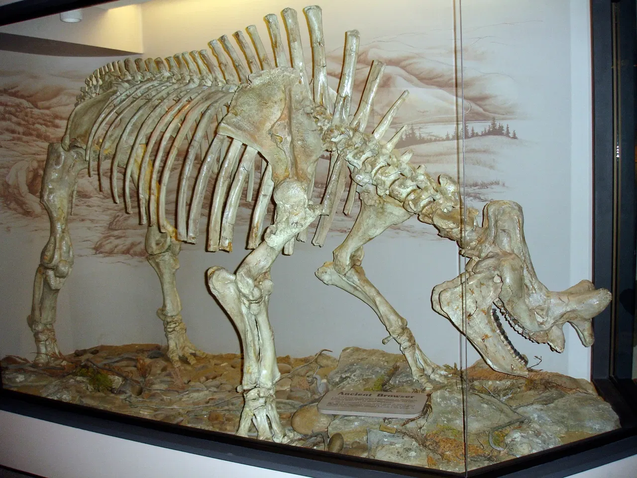 Royal Saskatchewan Museum