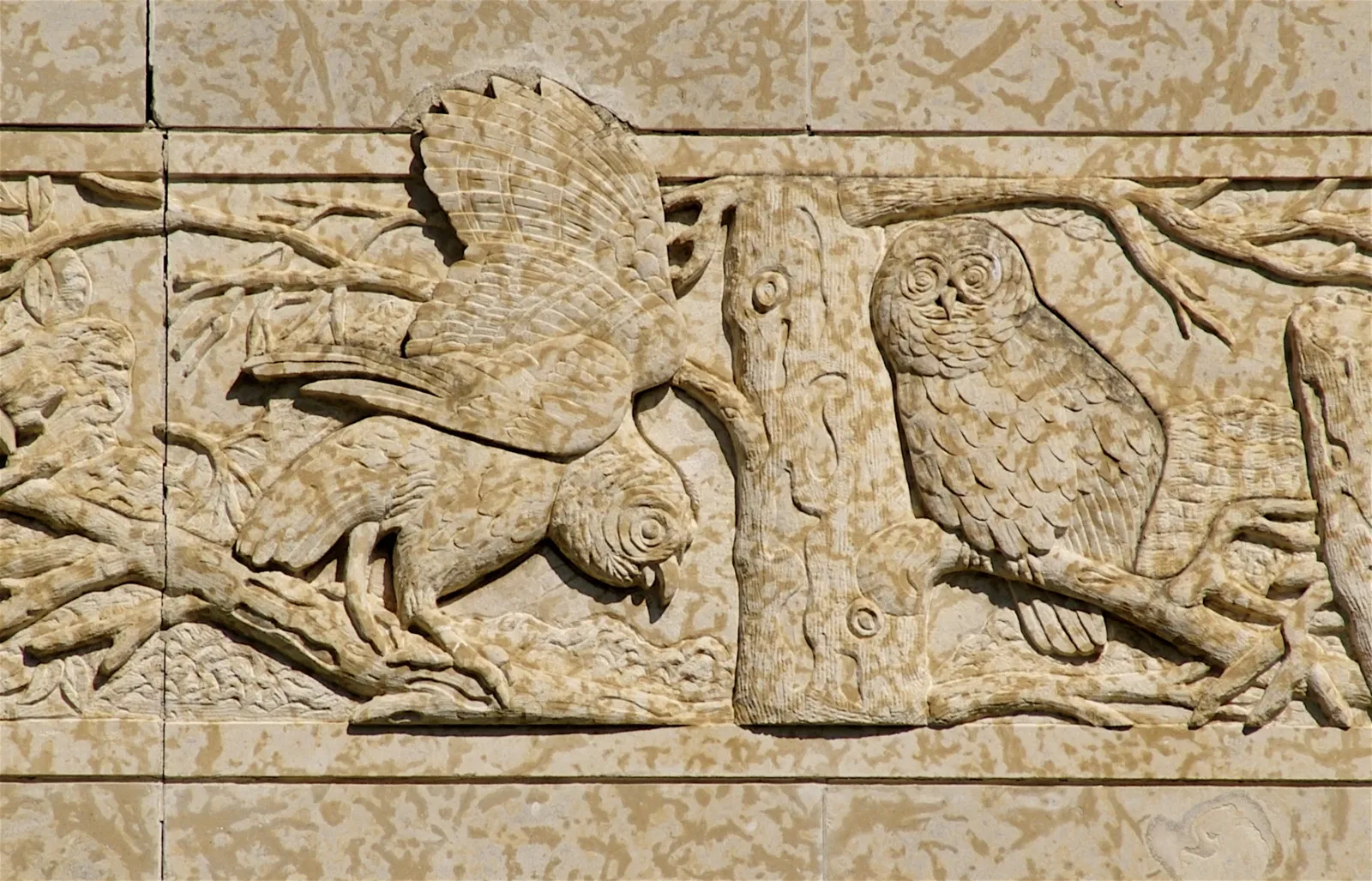 Musée royal de la Saskatchewan