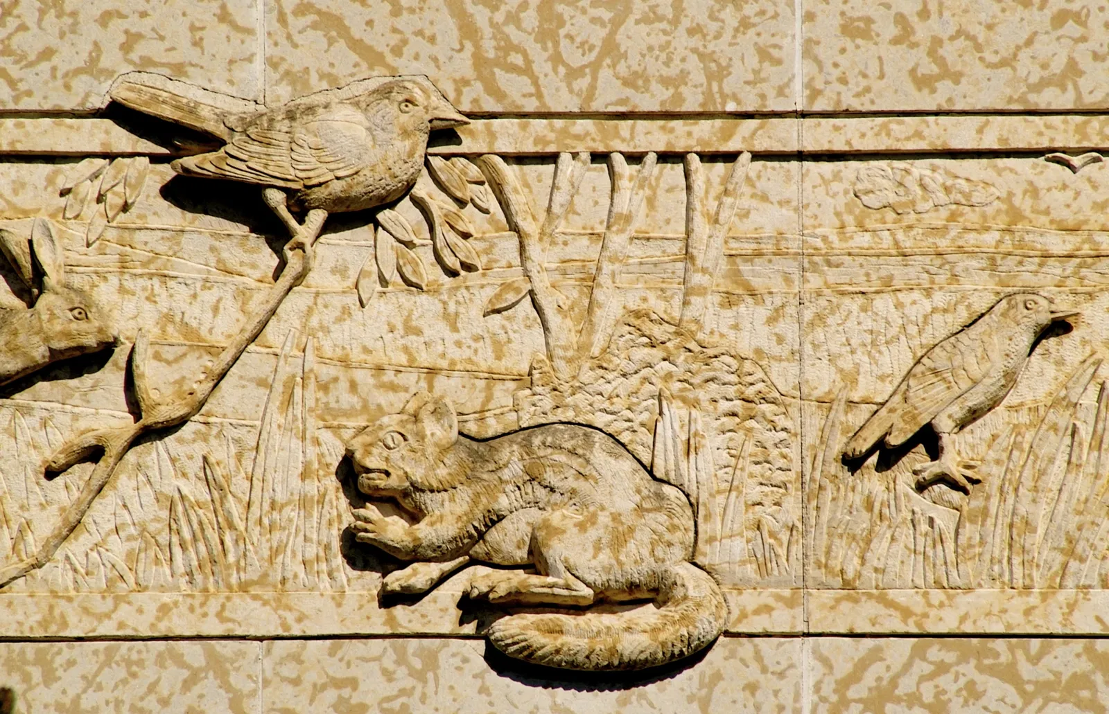 Royal Saskatchewan Museum