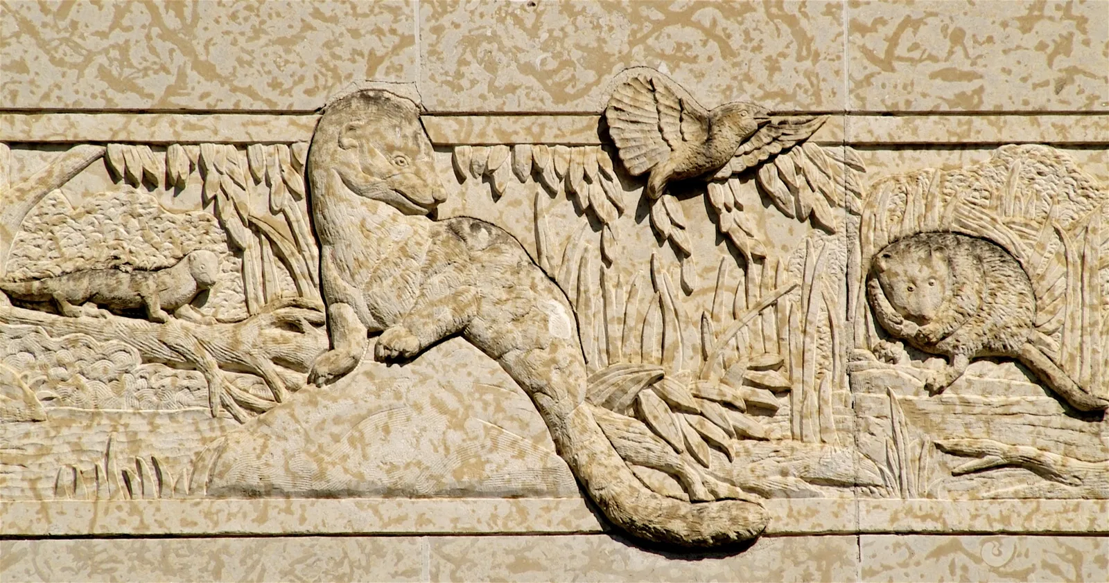 Royal Saskatchewan Museum