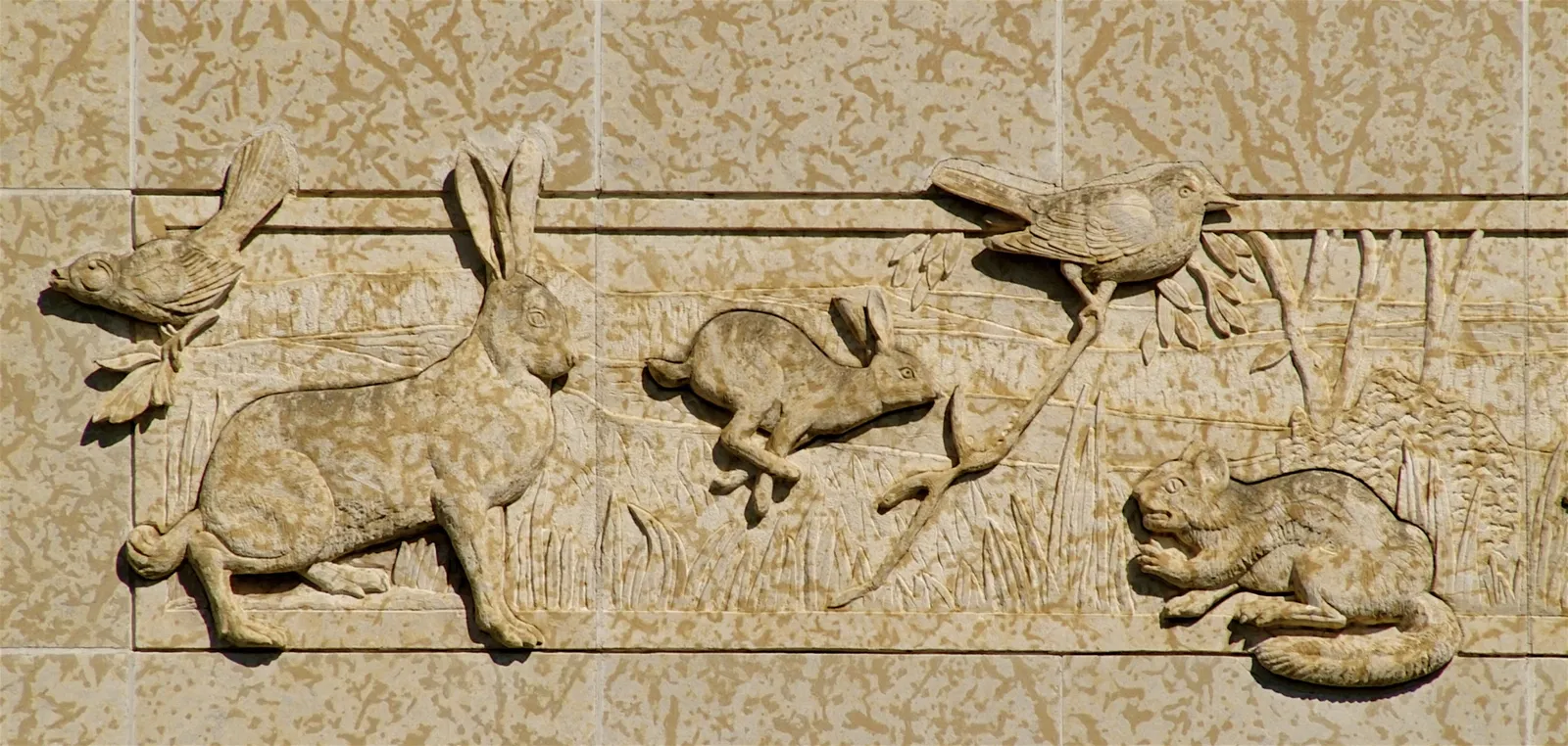 Royal Saskatchewan Museum