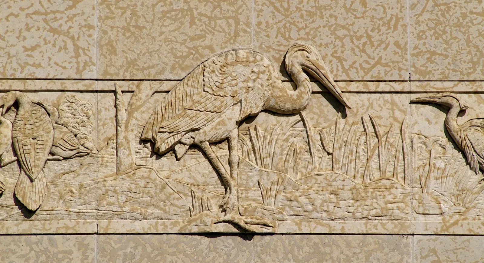 Museo Royal Saskatchewan