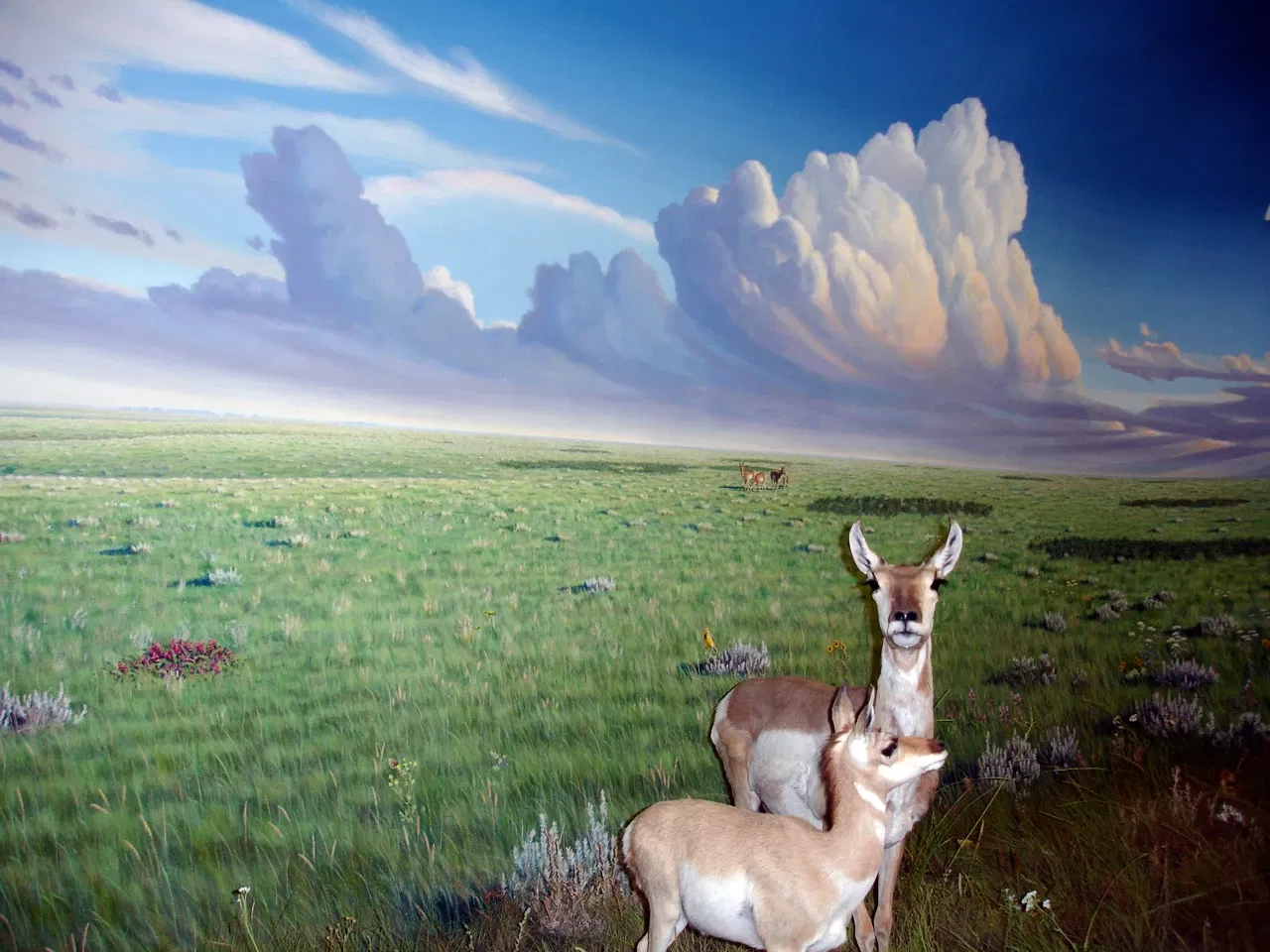 Royal Saskatchewan Museum