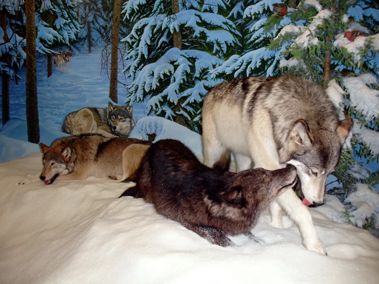 Royal Saskatchewan Museum