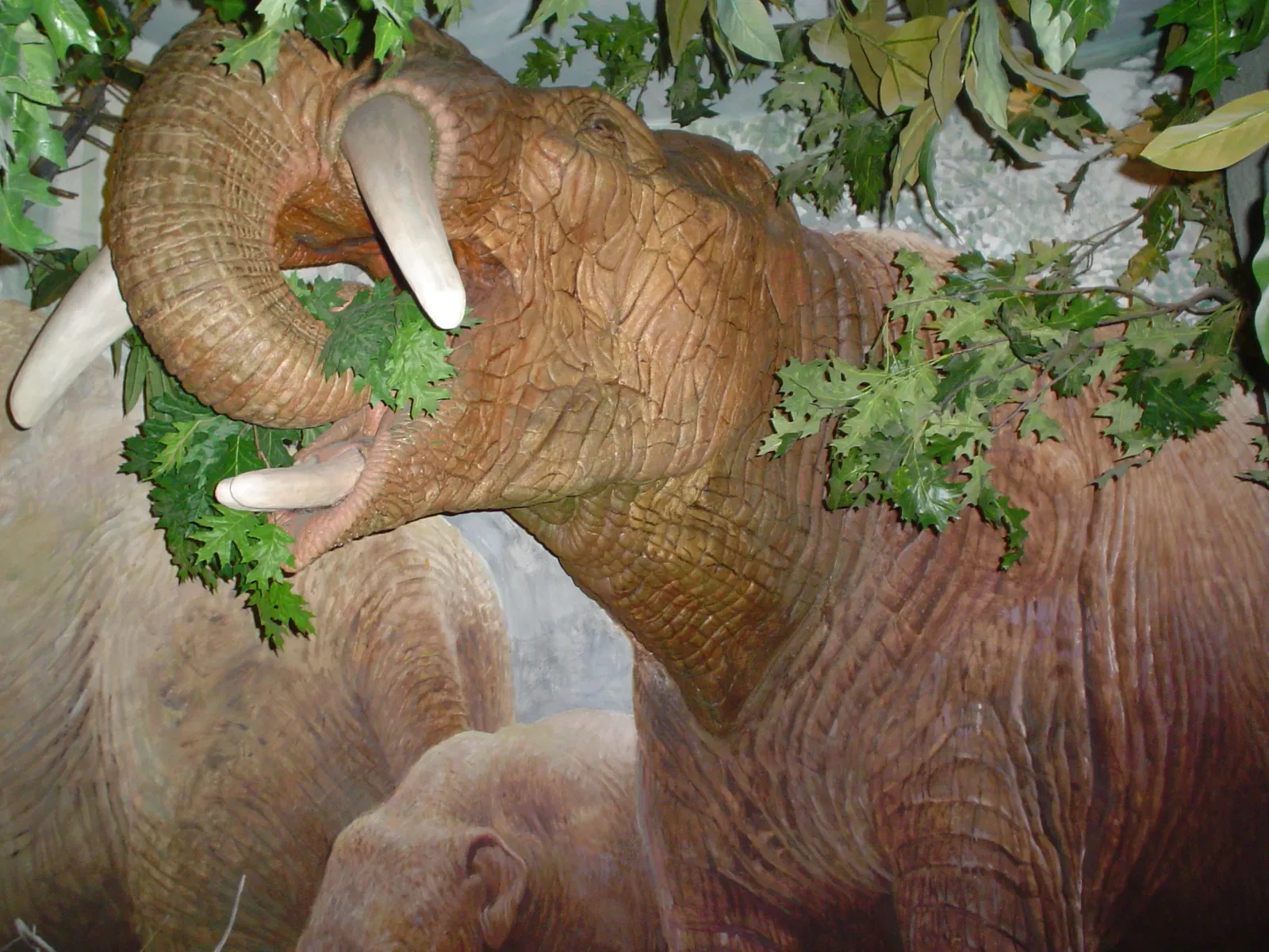 Musée royal de la Saskatchewan