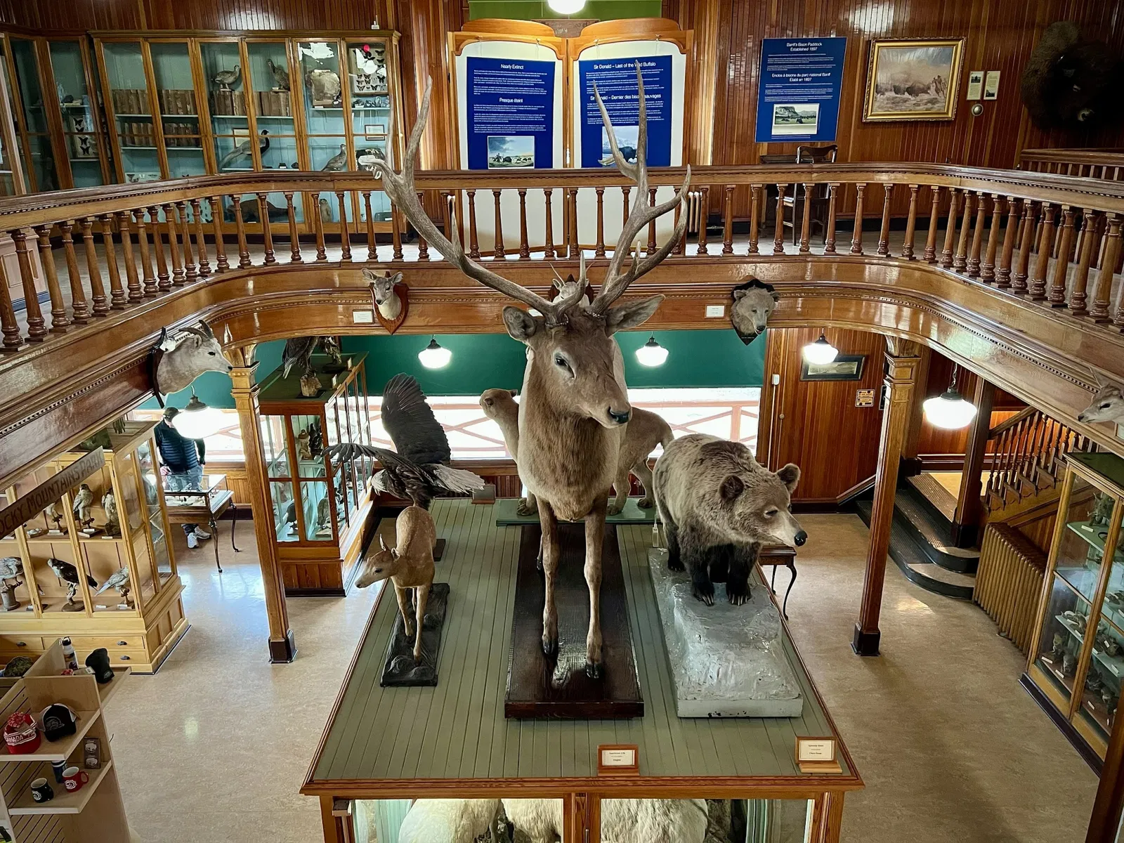 Museo Banff Park