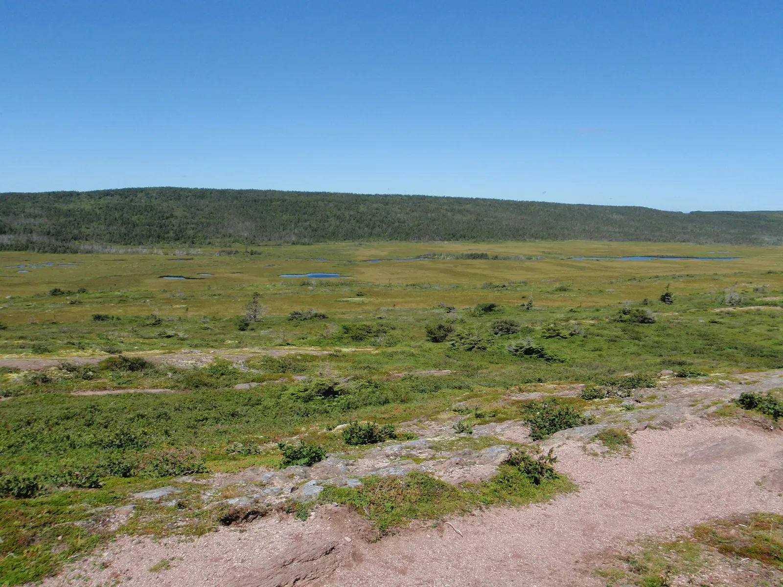 Cape Spear Lighthouse National Historic Site