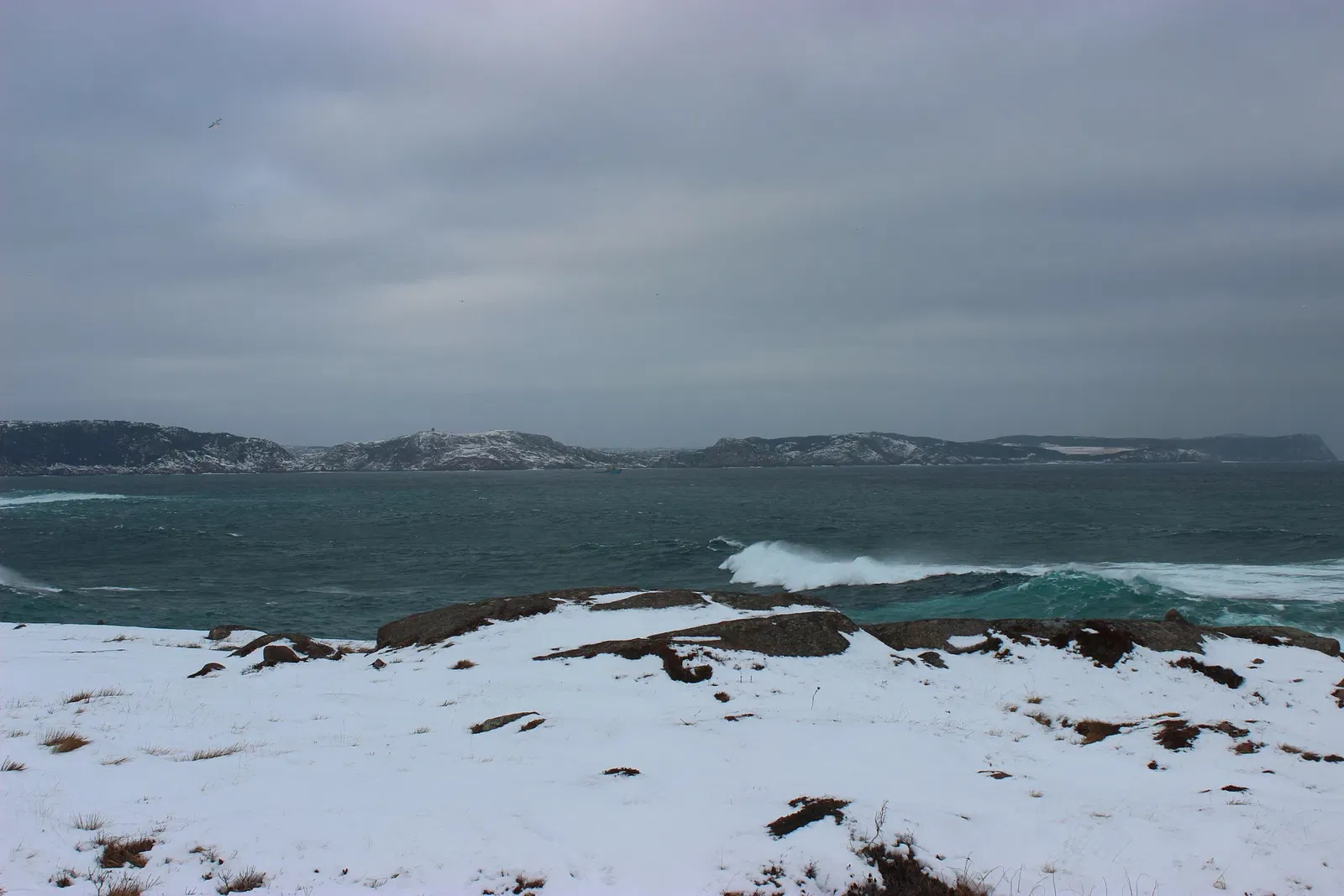 Cape Spear