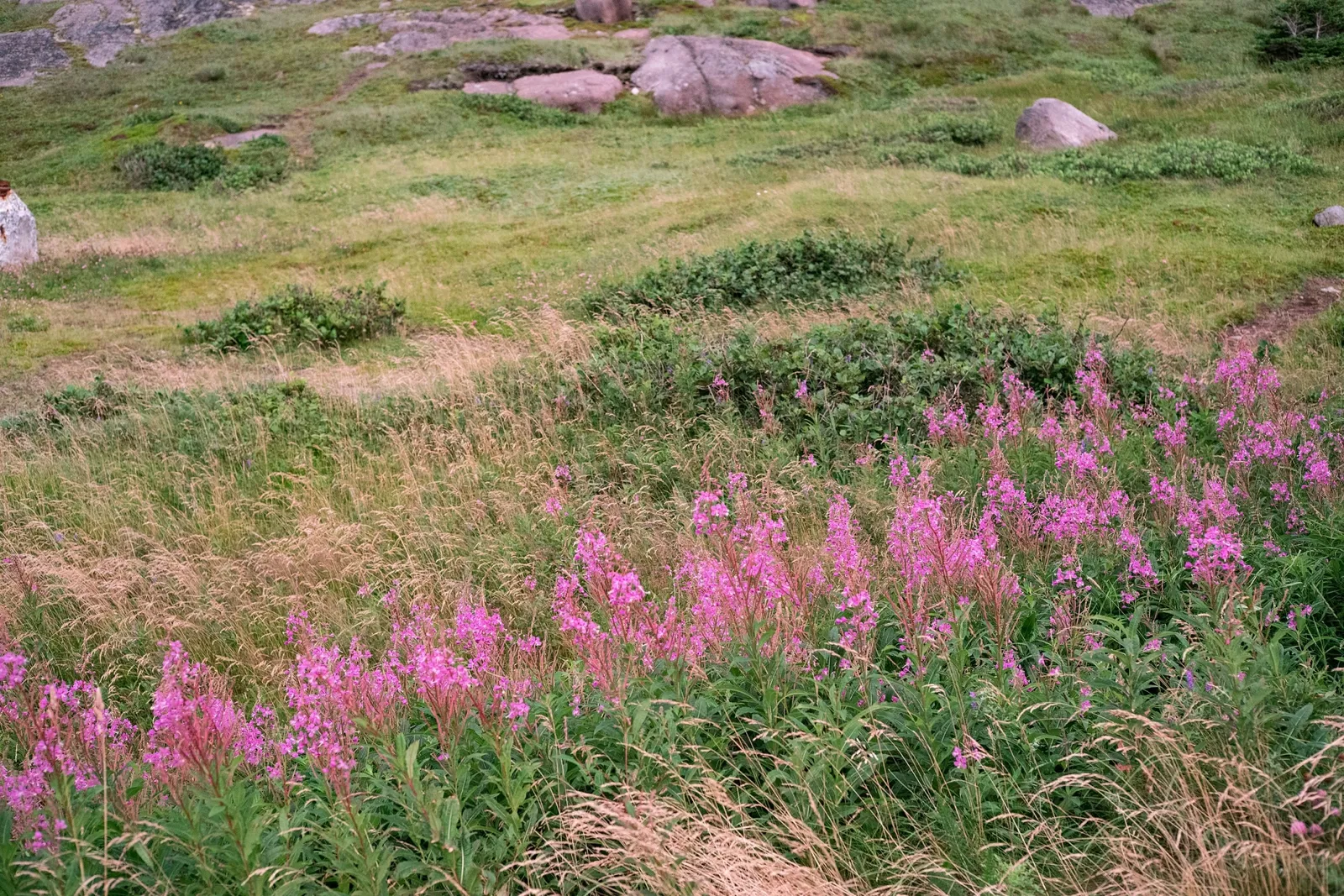 Cape Spear Lighthouse National Historic Site