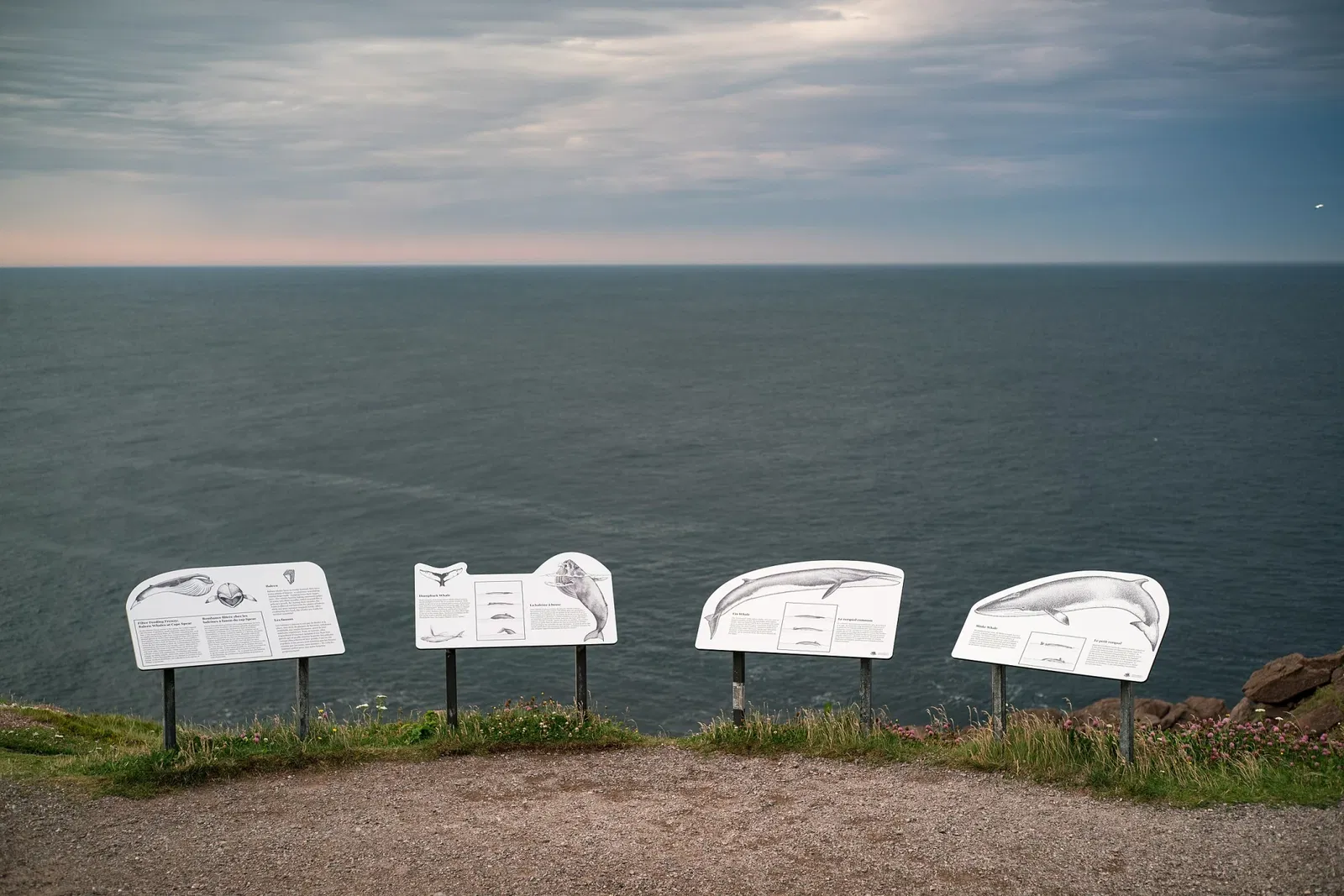 Cape Spear Lighthouse National Historic Site