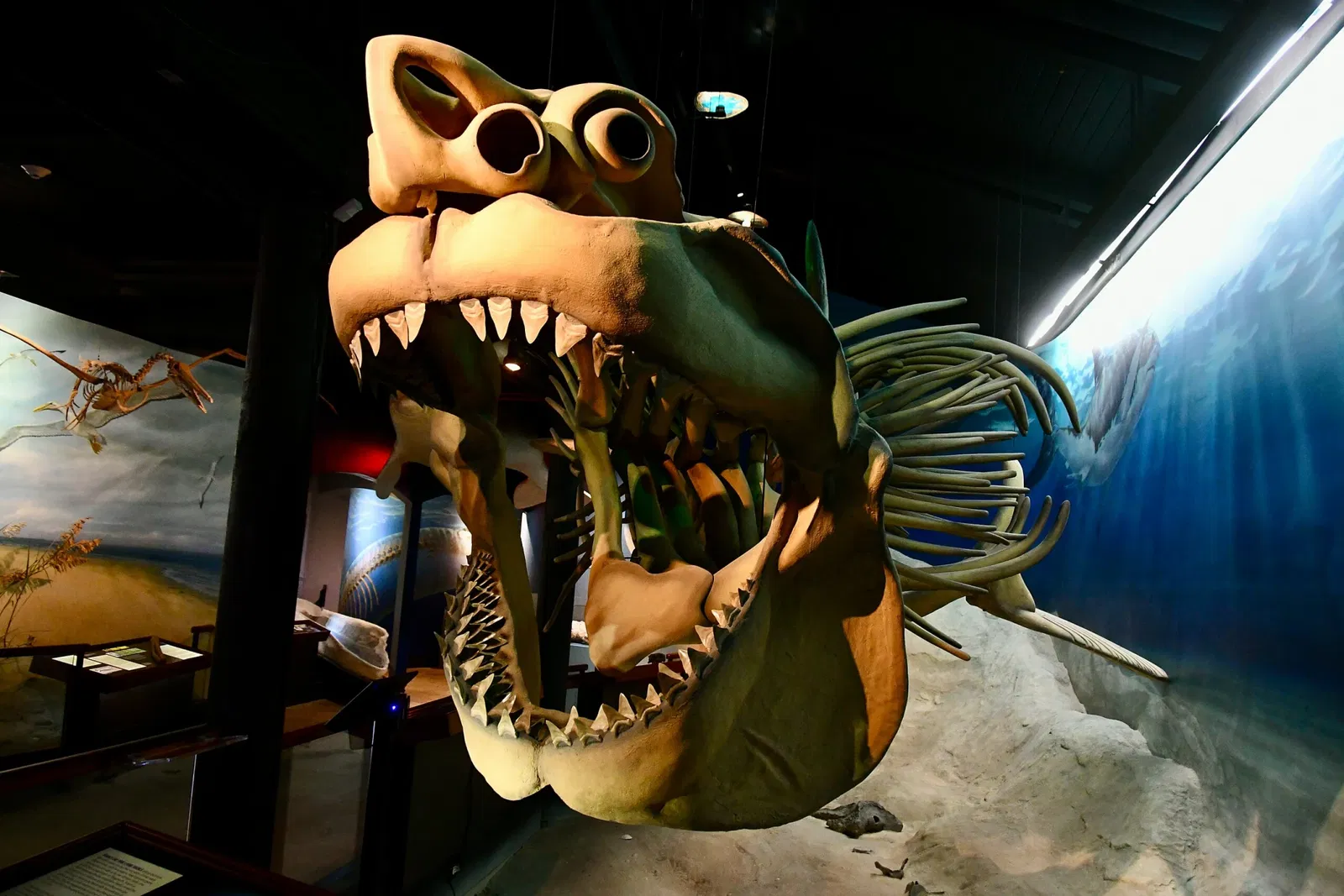 Calvert Marine Museum