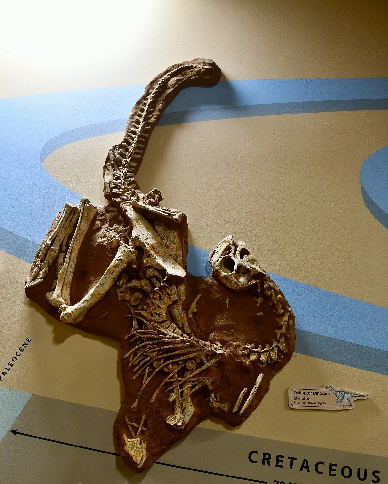 Museo Marino Calvert