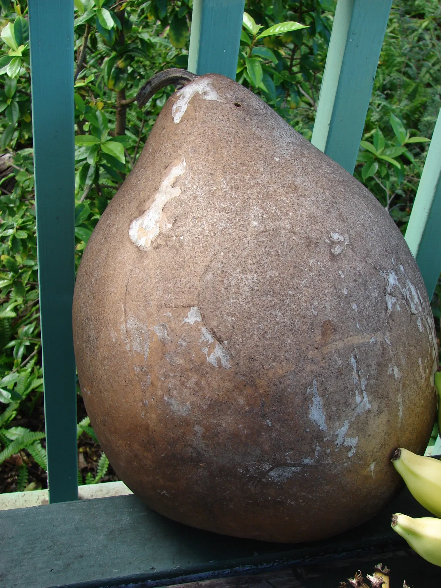 Maui Nui Botanical Gardens