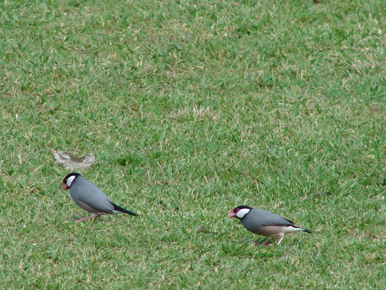 Maui Nui Botanical Gardens